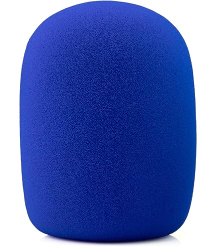 Amazon.com: Electro Voice WS-PL2 Foam Windscreen : Musical Instruments